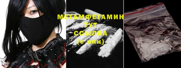 прущие грибы Осинники