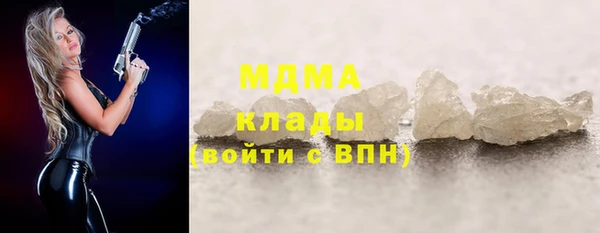 прущие грибы Осинники