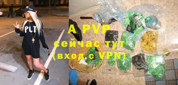 прущие грибы Осинники
