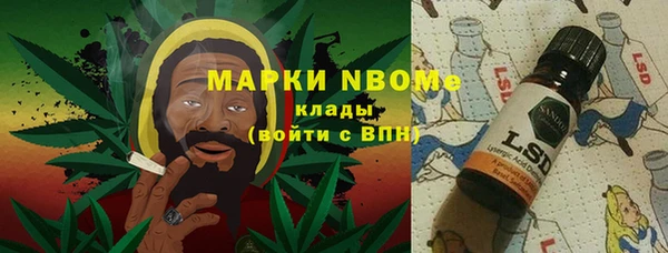 прущие грибы Осинники