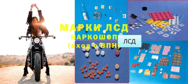 прущие грибы Осинники